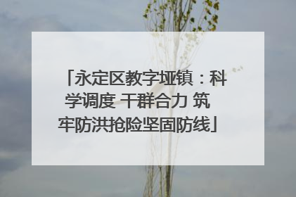 永定区教字垭镇：科学调度 干群合力 筑牢防洪抢险坚固防线