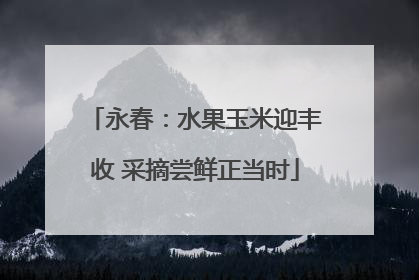 永春：水果玉米迎丰收 采摘尝鲜正当时