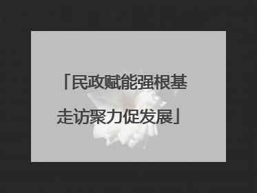 民政赋能强根基 走访聚力促发展