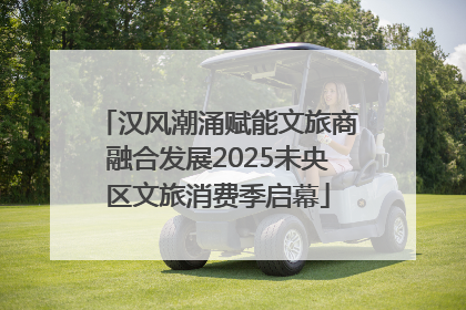 汉风潮涌赋能文旅商融合发展2025未央区文旅消费季启幕