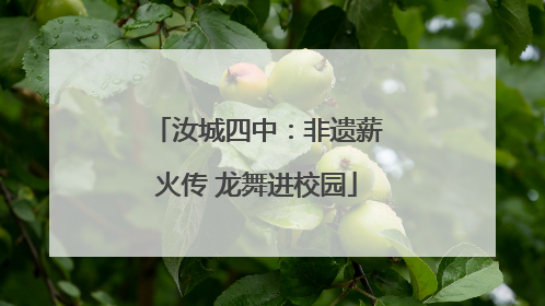 汝城四中：非遗薪火传 龙舞进校园