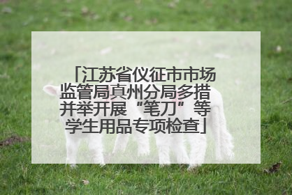 江苏省仪征市市场监管局真州分局多措并举开展“笔刀”等学生用品专项检查