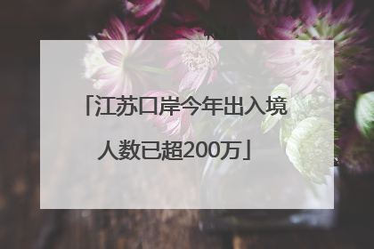 江苏口岸今年出入境人数已超200万