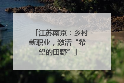 江苏南京：乡村新职业，激活“希望的田野”