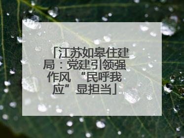 江苏如皋住建局：党建引领强作风 “民呼我应”显担当