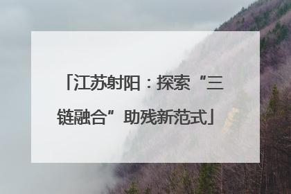 江苏射阳：探索“三链融合”助残新范式