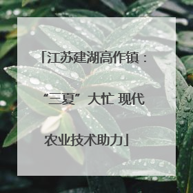 江苏建湖高作镇：“三夏”大忙 现代农业技术助力