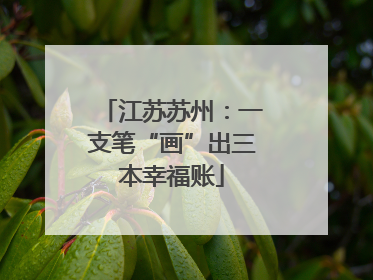 江苏苏州：一支笔“画”出三本幸福账