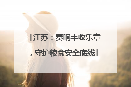 江苏：奏响丰收乐章，守护粮食安全底线