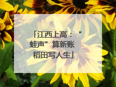 江西上高：“蛙声”算新账 稻田写人生