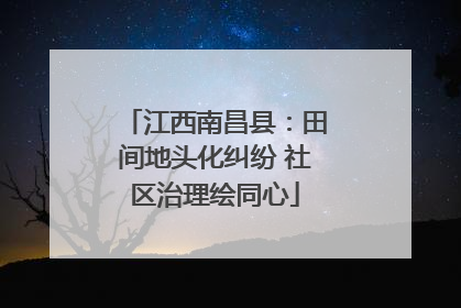 江西南昌县：田间地头化纠纷 社区治理绘同心