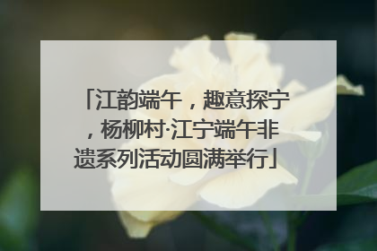 江韵端午，趣意探宁，杨柳村·江宁端午非遗系列活动圆满举行