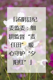汤阴县纪委监委：细耕监督“责任田” 暖心守护“夕阳红”