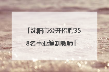 沈阳市公开招聘358名事业编制教师