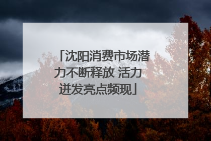 沈阳消费市场潜力不断释放 活力迸发亮点频现