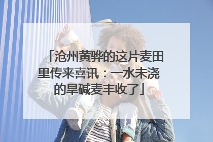 沧州黄骅的这片麦田里传来喜讯：一水未浇的旱碱麦丰收了