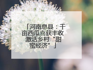 河南息县：千亩西瓜喜获丰收 激活乡村“甜蜜经济”
