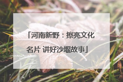 河南新野：擦亮文化名片 讲好沙堰故事