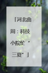 河北曲周：科技小院忙“三夏”