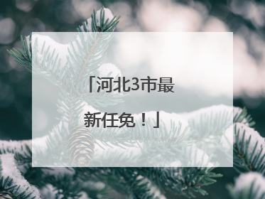 河北3市最新任免！