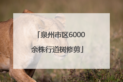 泉州市区6000余株行道树修剪