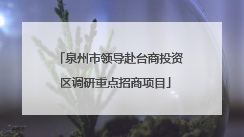 泉州市领导赴台商投资区调研重点招商项目