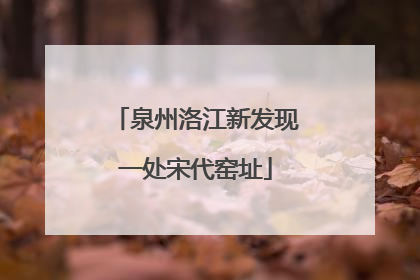 泉州洛江新发现一处宋代窑址