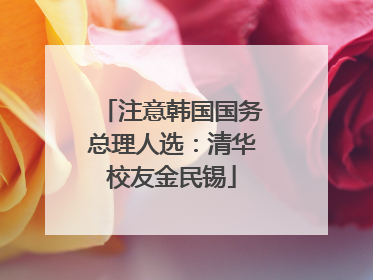 注意韩国国务总理人选：清华校友金民锡