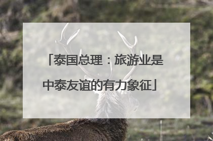 泰国总理：旅游业是中泰友谊的有力象征