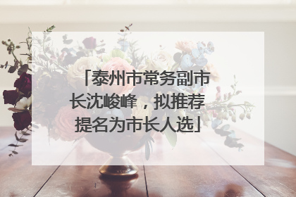 泰州市常务副市长沈峻峰，拟推荐提名为市长人选
