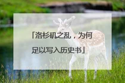 洛杉矶之乱，为何足以写入历史书