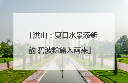 洪山：夏日水景添新韵 碧波粉黛入画来