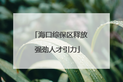 海口综保区释放强劲人才引力