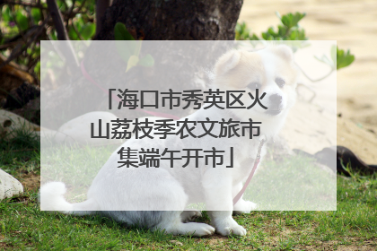 海口市秀英区火山荔枝季农文旅市集端午开市