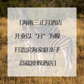 海南三正月酒店开业以“月”为媒打造滨海家庭亲子高端度假酒店