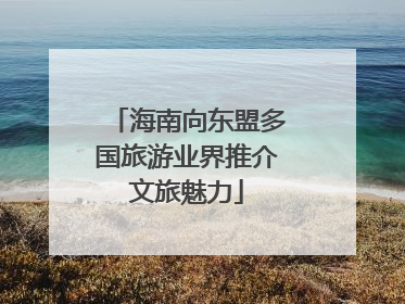 海南向东盟多国旅游业界推介文旅魅力