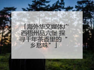 海外华文媒体广西梧州品六堡 探寻千年茶香里的“乡愁味”