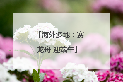 海外多地：赛龙舟 迎端午