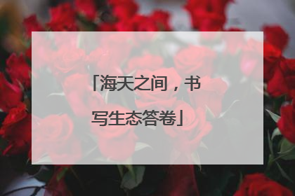海天之间，书写生态答卷
