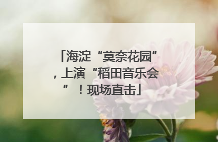 海淀“莫奈花园”，上演“稻田音乐会”！现场直击
