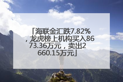海联金汇跌7.82%，龙虎榜上机构买入8673.36万元，卖出2660.15万元