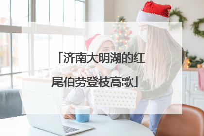 济南大明湖的红尾伯劳登枝高歌