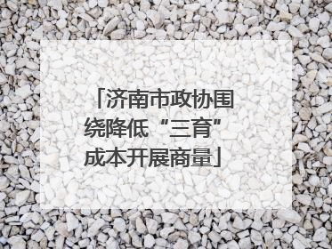 济南市政协围绕降低“三育”成本开展商量