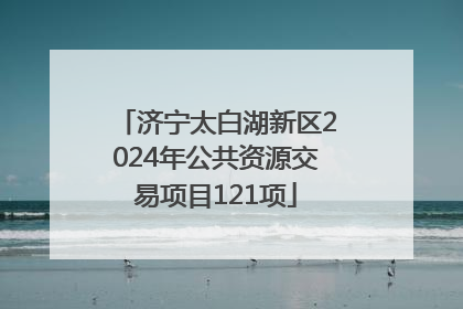 济宁太白湖新区2024年公共资源交易项目121项