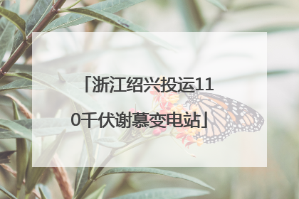浙江绍兴投运110千伏谢慕变电站