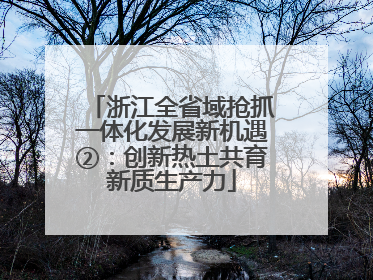 浙江全省域抢抓一体化发展新机遇②：创新热土共育新质生产力