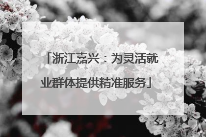 浙江嘉兴：为灵活就业群体提供精准服务
