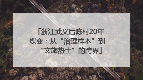 浙江武义后陈村20年蝶变：从“治理样本”到“文旅热土”的跨界