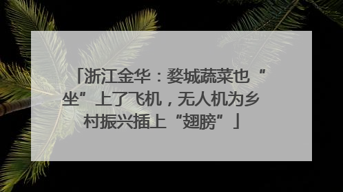 浙江金华：婺城蔬菜也“坐”上了飞机，无人机为乡村振兴插上“翅膀”