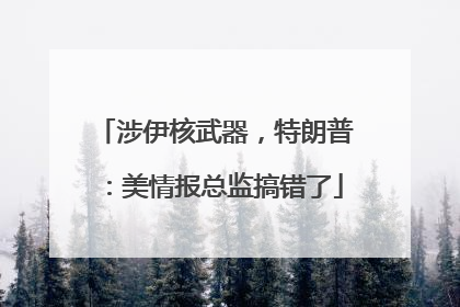 涉伊核武器，特朗普：美情报总监搞错了